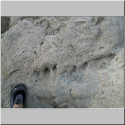 100_0504 (2009-26-07).JPG